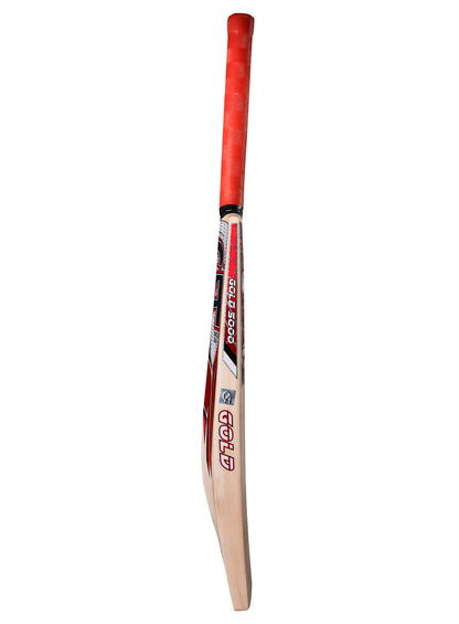 CA Gold 5000 Cricket Bat - Ali Sports