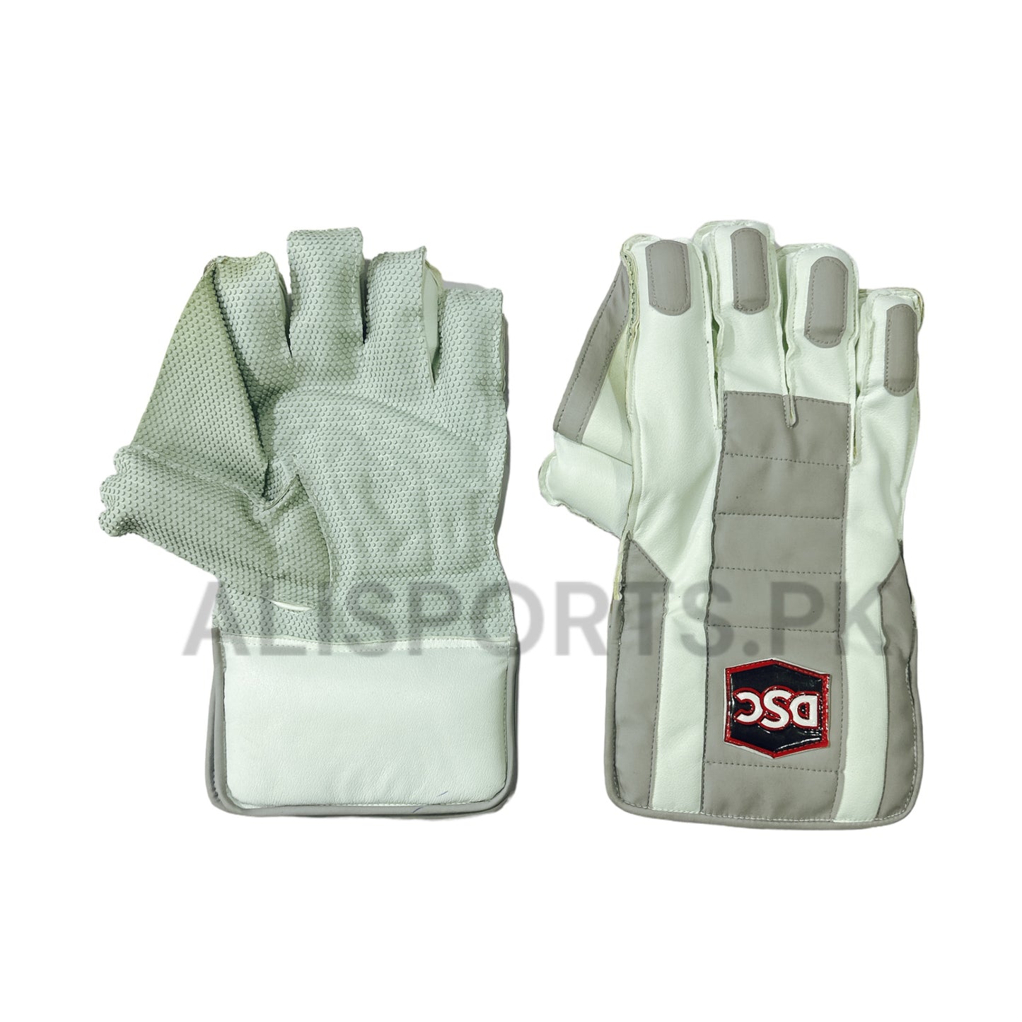 DSC Scotch Wicket Keeping Gloves - Ali Sports