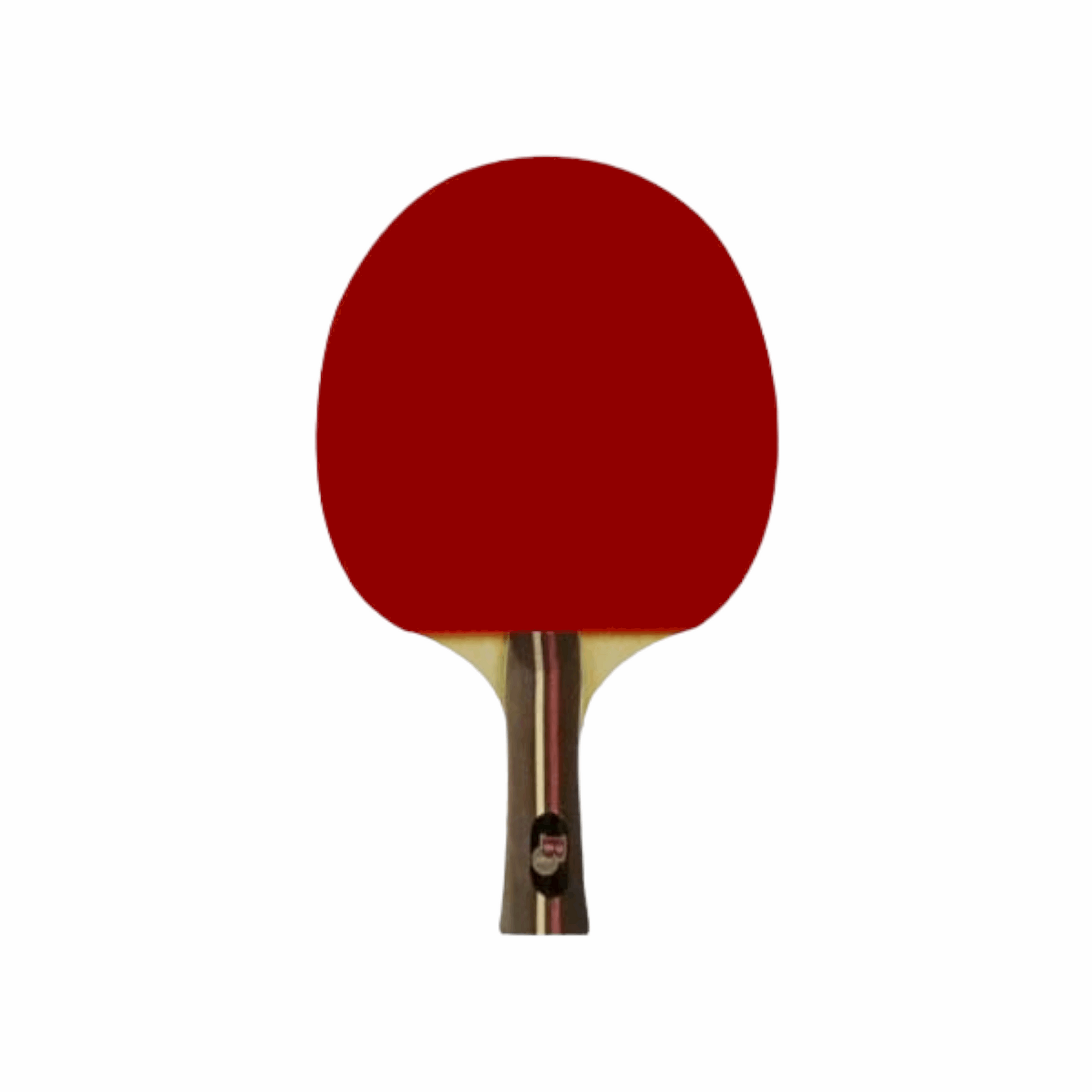 Blue Ocean BO-729 Table Tennis Racket - Ali Sports