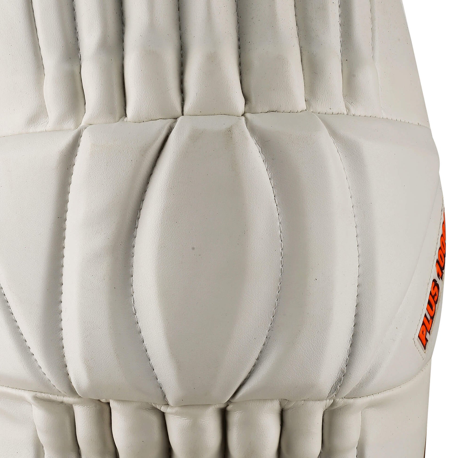 CA Plus 10000 Batting Pads - Ali Sports