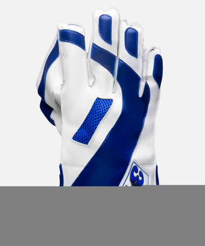 HS 3 Star Wicket Keeping Gloves - Ali Sports